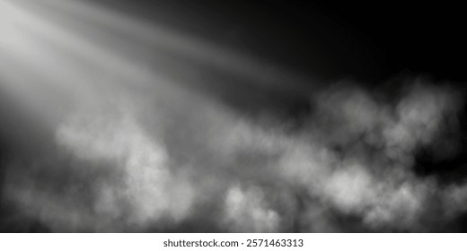 Image of soft rays of light illuminating fog and light haze, creating a magical and ethereal atmosphere on a dark transparent background.