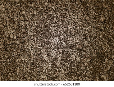 Image of soil texture. Overhead view. Vector illustration nature background.