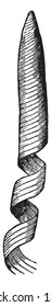 An image of spiral Ducts. Her shape is like the horoscope and the upper part is peaked, vintage line drawing or engraving illustration.