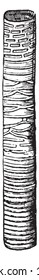 Das Bild der Spiralherzen. Seine Form ist ein Ringkanal, Vintage-Linie Zeichnung oder Gravitation Illustration.