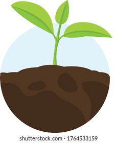Image of a sprout only sprouted from the ground.