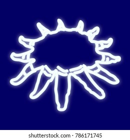 The image of a starfish. Icon with the effect of neon glow. Vector image.