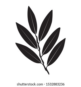 image of a stem, bamboo leaves that flourish