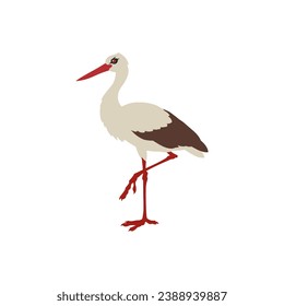 image of a stork, on a white background.