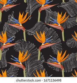 Image of Strelitzia flowers on banana leaves. Isolated orange flowers on a black and white background. Tropical seamless pattern.