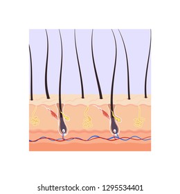 Tampon Insertion Diagram Stock Vector (Royalty Free) 1028684092