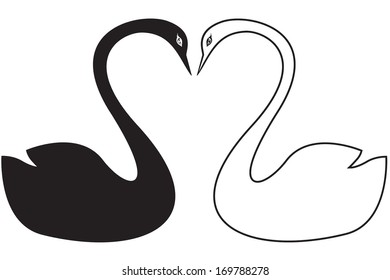 Image of a swans couple floating on water