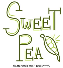 An image of a Sweet Pea Writing Text Message Peapod isolated on white.