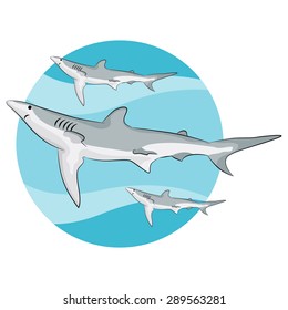 Una imagen de tiburones nadando.