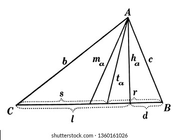 An image that shows parts of the triangle. In this image the sides, angles, medians, altitudes, bisectors and segments are shown, this is a part of the triangle, vintage line drawing or engraving