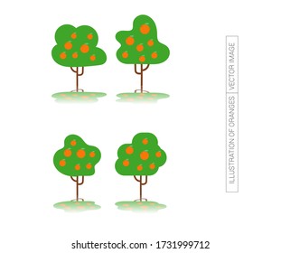 Image of three fruit trees. Image of three orange trees. Flat funny modern drawing.