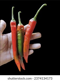 image of three ripe chilies, held in hand, isolated on black