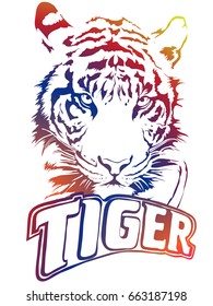 Image of a tiger in color graphics, vector