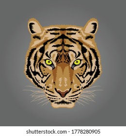 image of a tiger vector 