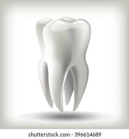  image tooth  3D vector illustration for dentistry