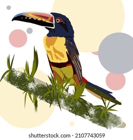 imagen de un tucán en una sucursal para postales, folletos, invitaciones, portadas de cuadernos, libros de colores