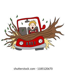 An image of a tree branch falling and damaging a car.
