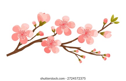 Imagem de um galho de árvore com flores e botões cor-de-rosa. Adequado para designs de mola, cartões de saudação, embalagem cosmética, decoração interior e fabricação de padrões