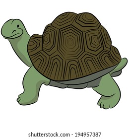 An image of a turtle.