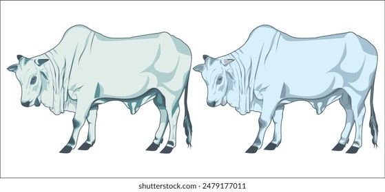 The image of two cows is suitable for food or meat product logos and meat distribution coupons.  Eid Al-Fitr Mubarak