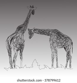 the image of two giraffes in the style of hand drawn  on the gray background