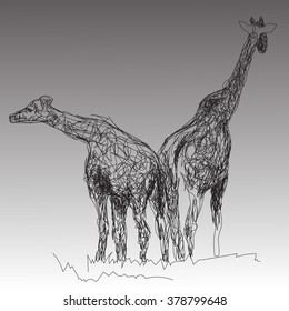 the image of two giraffes in the style of hand drawn on the gray background
