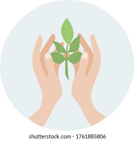 image of two human hands holding a green sprout of a tree.stock isolated illustration on white background for printing on postcards, websites, shop advertising in cartoon style