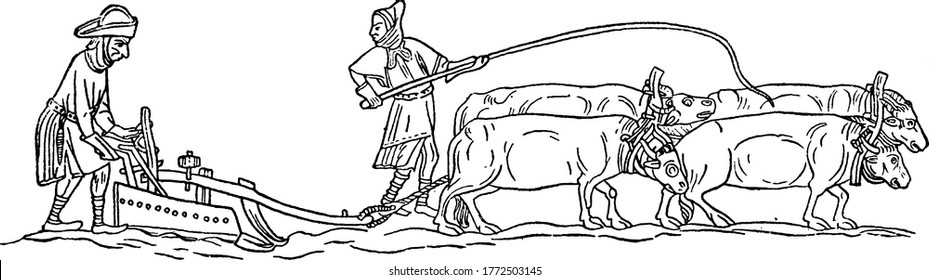 Auf dem Bild pflügen zwei Männer ihr Feld mithilfe von Ochsen im mittleren Alter, Vintage-Linien-Zeichnung oder Gravitation-Illustration.