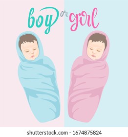 
Image of two newborn babies in blue and pink diapers. lettering boy or girl in pink and blue. background for a party that recognizes the gender of the child.
stock isolated illustration,cartoon