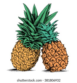 The image of the two pineapple together. Vector illustration.