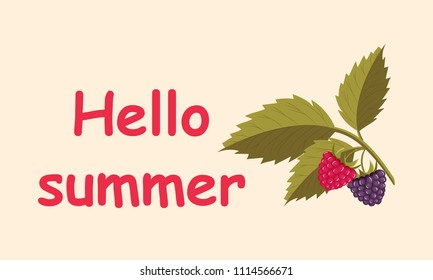 Image with two raspberry and text Hello Summer. Isolated print  for t-shirt, tunic or decorate dishes, stationery and kids mural, wall art. eps 10.