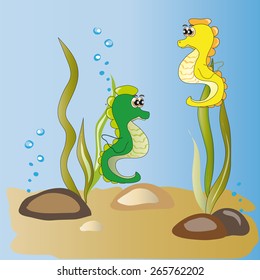 The image of two seahorses among algae and air bubbles