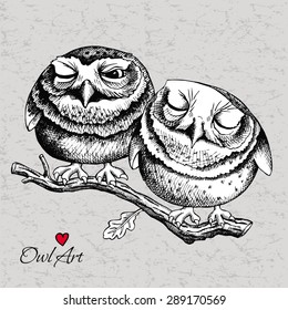 Image of two small owls sitting on a oak branch together. Vector illustration.