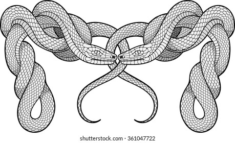 Image of two twisted snakes. Decorative element.