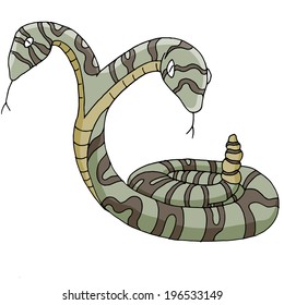 An image of a two-headed snake.
