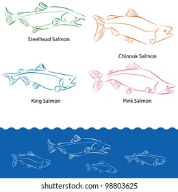 An image of types of salmon.