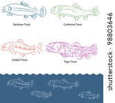 An image of a types of trout.