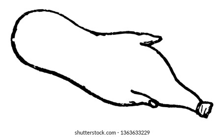 An image of an upside down skin bottle, vintage line drawing or engraving illustration.