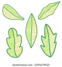 image of various leaf pattern shapes with line models