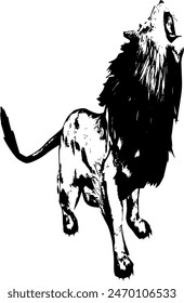 The image is a vector illustration of a lion roaring with its head raised upward