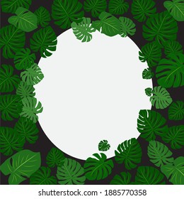 Vector de imagen, plantilla de hojas tropicales de Monstera sobre fondo blanco.