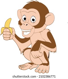 image vektor cute monkey cartoon