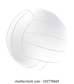 Image of a Volley Ball