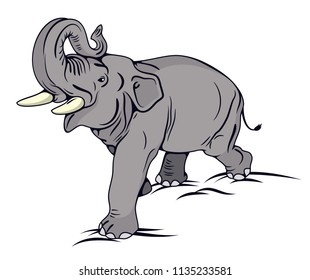 The image of a walking elephant in full growth