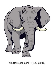 The image of a walking elephant in full growth