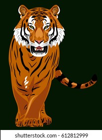 Image of a walking tiger