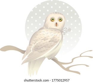 Imagen de un búho blanco sentado en una rama. Gráficos vectoriales