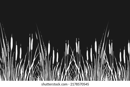 Image of a white  reed or bulrush on a black background.Isolated vector drawing.
