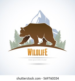 Image of a wild brown bear on a background of forest and mountains.