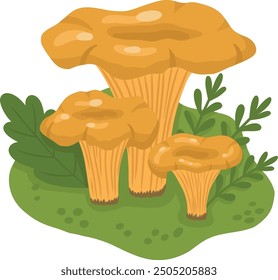 An image of wild mushrooms in a forest clearing. Chanterelle mushrooms and grass. Vector illustration for children's books and biology textbooks, menus. Autumn vector illustration.